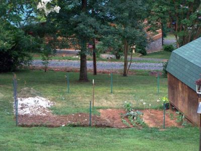 Rookie Gardening Mistakes You Can Avoid Image